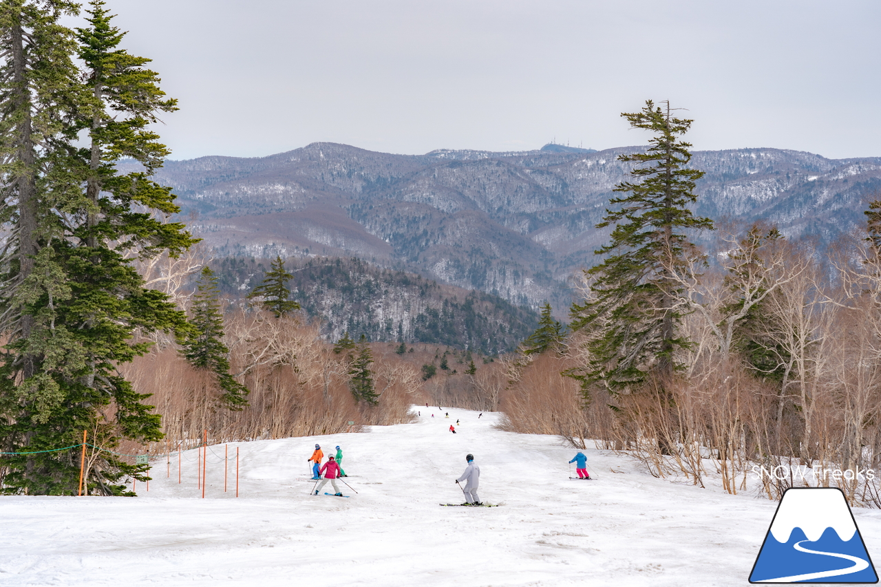 札幌国際スキー場｜2022年のゴールデンウイークが開幕。さすが、KOKUSAI。5月目前にして、ほぼ全面滑走可能です(*^^)v